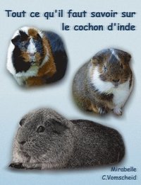 bokomslag Tout ce qu'il faut savoir sur le cochon d'inde (nouvelle édition)