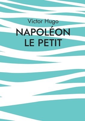 bokomslag Napoléon le Petit