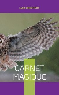 bokomslag Carnet magique