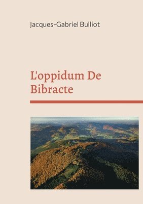 bokomslag L'oppidum De Bibracte