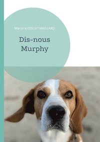 bokomslag Dis-nous Murphy