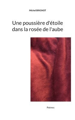 bokomslag Une poussire d'toile dans la rose de l'aube