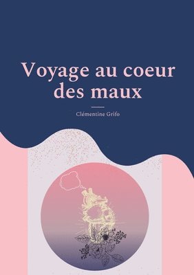 bokomslag voyage au coeur des maux