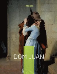 bokomslag Dom Juan