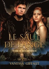 bokomslag Saut de l'Ange