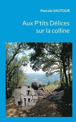 bokomslag Aux P'tits Delices sur la colline