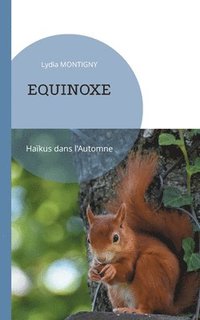 bokomslag Equinoxe
