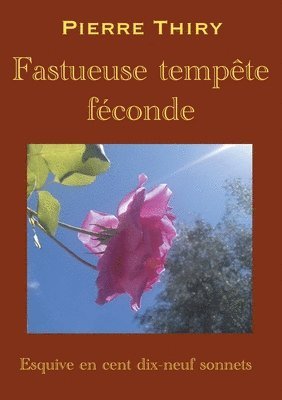 bokomslag Fastueuse tempête féconde