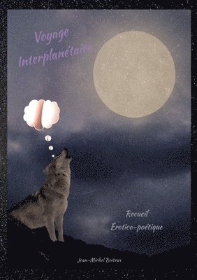 Jean-Michel Boiteux - Voyage Interplanétaire, Häftad. Tillgänglighet: Lägg i varukorg