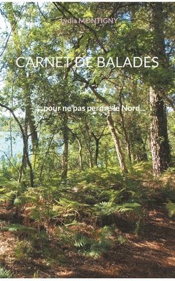 bokomslag Carnet de Balades