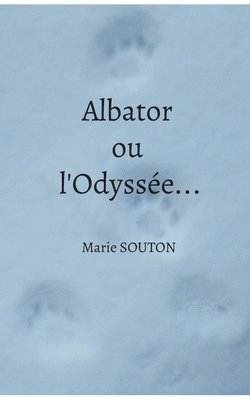 Albator ou l'Odysse... 1