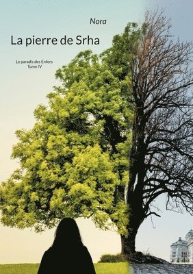 La pierre de Srha 1