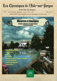 bokomslag Les Chroniques de L'Isle-sur-Sorgue N Degrees3