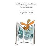 bokomslag Le grand saut