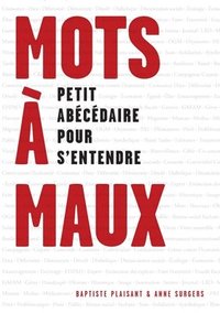 bokomslag Mots à maux