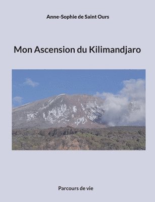 Mon Ascension du Kilimandjaro 1