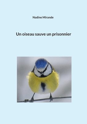 Un oiseau sauve un prisonnier 1