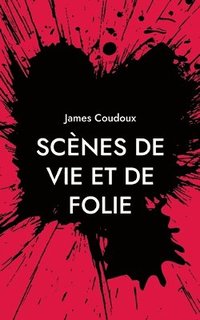 bokomslag Scènes de vie et de folie