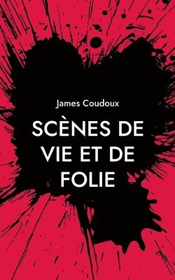 bokomslag Scènes de vie et de folie
