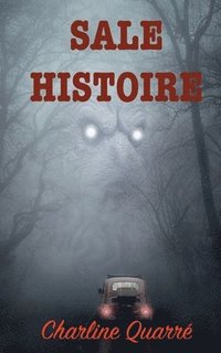 bokomslag Sale Histoire