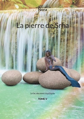 La pierre de Srha 1