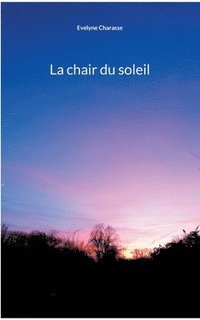 bokomslag La chair du soleil