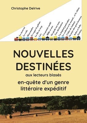 bokomslag Nouvelles destinées