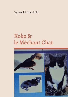 bokomslag Koko et le mchant chat