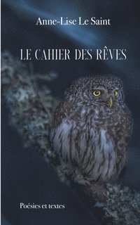 bokomslag cahier des rêves