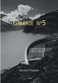 bokomslag Galerie n5