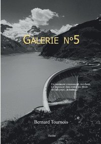 bokomslag Galerie n°5
