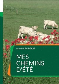bokomslag Mes chemins d'été