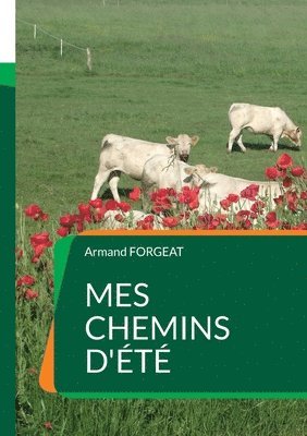 bokomslag Mes chemins d'été