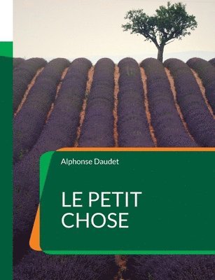 Alphonse Daudet - Petit Chose, Häftad