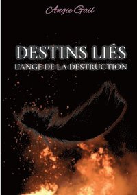 bokomslag Destins Liés