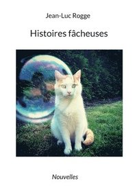 bokomslag Histoires fâcheuses