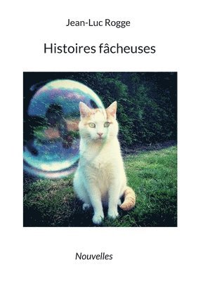 bokomslag Histoires fâcheuses