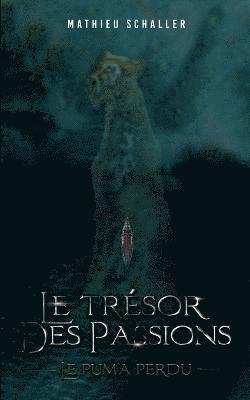 bokomslag Trésor des Passions