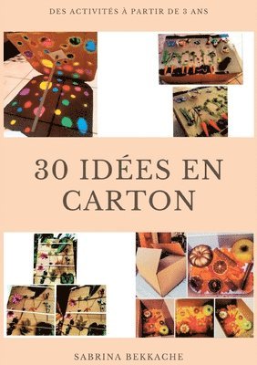 bokomslag 30 idées en carton