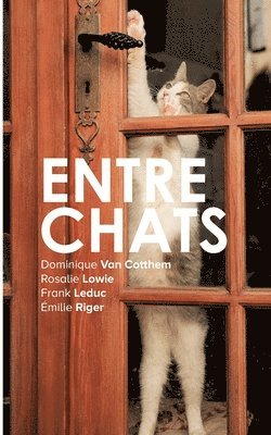 Entrechats 1