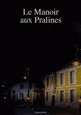 bokomslag Manoir aux Pralines