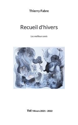 bokomslag Recueil d'hivers