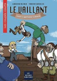 bokomslag Vaillant