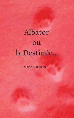 bokomslag Albator ou la Destinée...