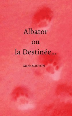 Albator ou la Destine... 1