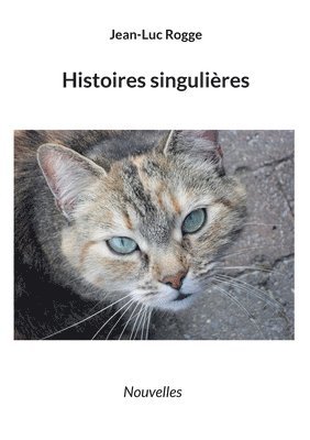 Jean-Luc Rogge - Histoires singulières, Häftad