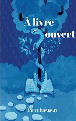bokomslag A livre ouvert