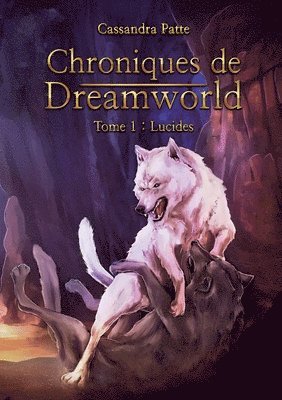 Chroniques de Dreamworld 1