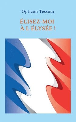 Élisez-moi à l'Élysée !