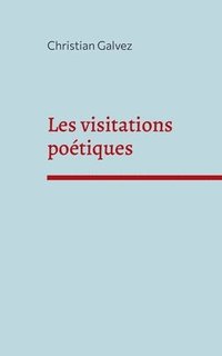 bokomslag Les visitations potiques